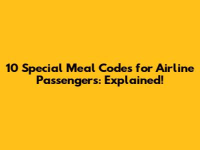 10 Special Meal Codes for Airline Passengers: Explained!