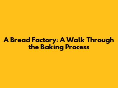 A Bread Factory: A Walk Through the Baking Process