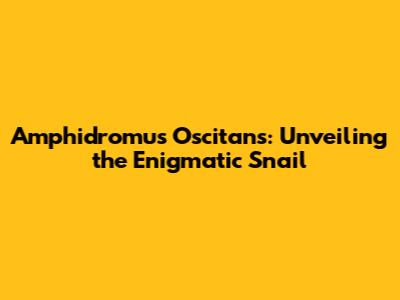 Amphidromus Oscitans: Unveiling the Enigmatic Snail