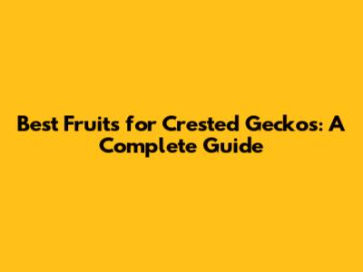 Best Fruits for Crested Geckos: A Complete Guide