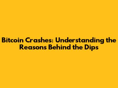 Bitcoin Crashes: Understanding the Reasons Behind the Dips