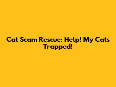 Cat Scam Rescue: Help! My Cat's Trapped!
