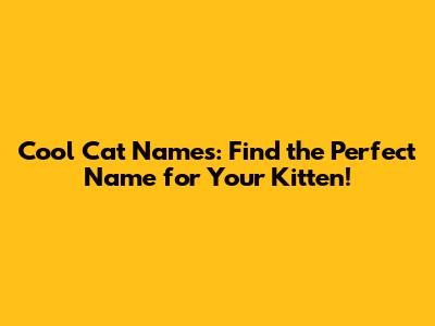 Cool Cat Names: Find the Perfect Name for Your Kitten!