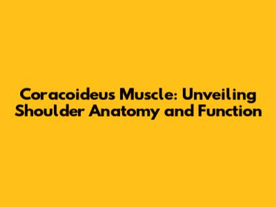 Coracoideus Muscle: Unveiling Shoulder Anatomy and Function