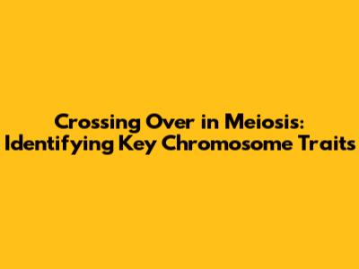 Crossing Over in Meiosis: Identifying Key Chromosome Traits