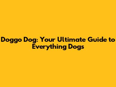 Doggo Dog: Your Ultimate Guide to Everything Dogs