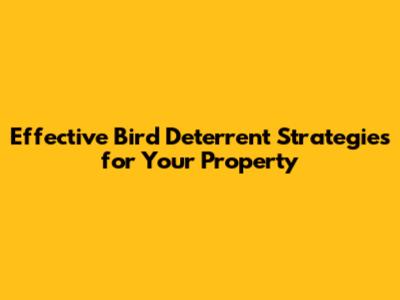 Effective Bird Deterrent Strategies for Your Property