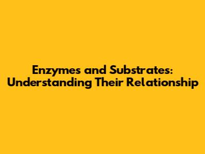 Enzymes and Substrates: Understanding Their Relationship
