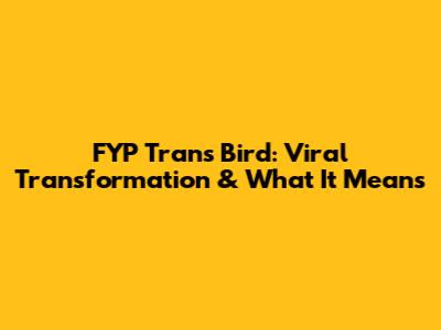 FYP Trans Bird: Viral Transformation & What It Means