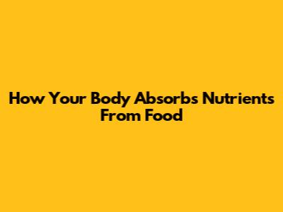 How Your Body Absorbs Nutrients From Food