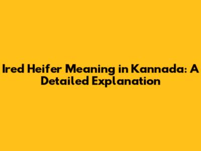 Ired Heifer Meaning in Kannada: A Detailed Explanation