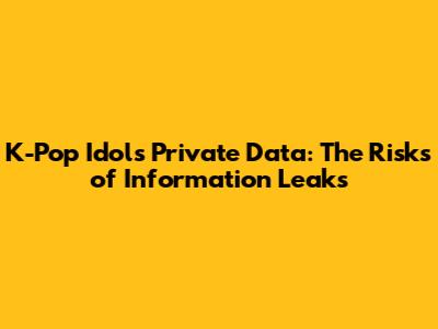 K-Pop Idols' Private Data: The Risks of Information Leaks