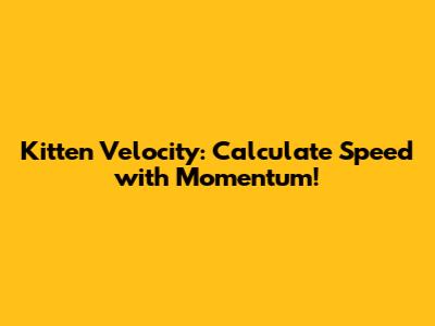 Kitten Velocity: Calculate Speed with Momentum!