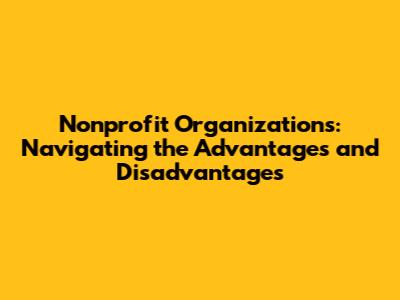 Nonprofit Organizations: Navigating the Advantages and Disadvantages