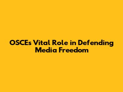 OSCE's Vital Role in Defending Media Freedom