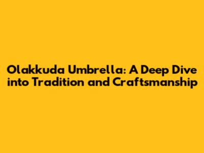 Olakkuda Umbrella: A Deep Dive into Tradition and Craftsmanship