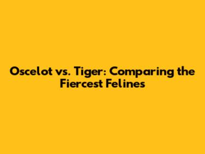 Oscelot vs. Tiger: Comparing the Fiercest Felines