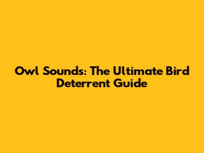 Owl Sounds: The Ultimate Bird Deterrent Guide