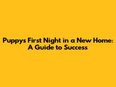 Puppy's First Night in a New Home: A Guide to Success