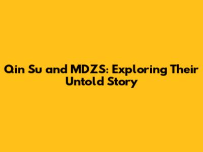 Qin Su and MDZS: Exploring Their Untold Story