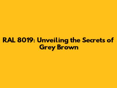 RAL 8019: Unveiling the Secrets of Grey Brown