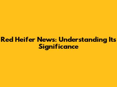 Red Heifer News: Understanding Its Significance