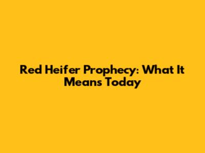 Red Heifer Prophecy: What It Means Today