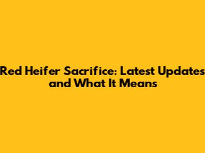 Red Heifer Sacrifice: Latest Updates and What It Means