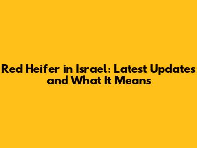 Red Heifer in Israel: Latest Updates and What It Means