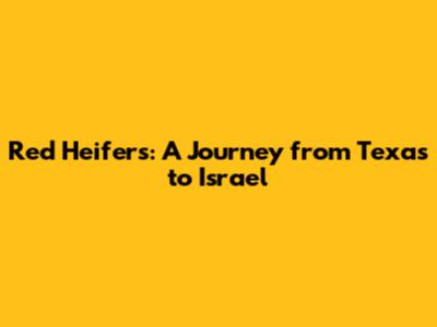 Red Heifers: A Journey from Texas to Israel