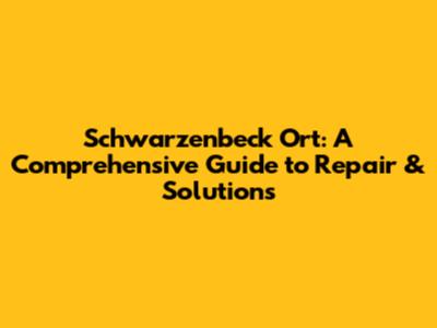 Schwarzenbeck Ort: A Comprehensive Guide to Repair & Solutions