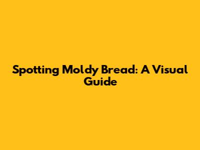 Spotting Moldy Bread: A Visual Guide