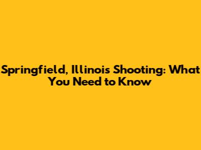 Springfield, Illinois Shooting: What You Need to Know
