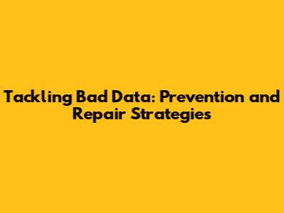Tackling Bad Data: Prevention and Repair Strategies