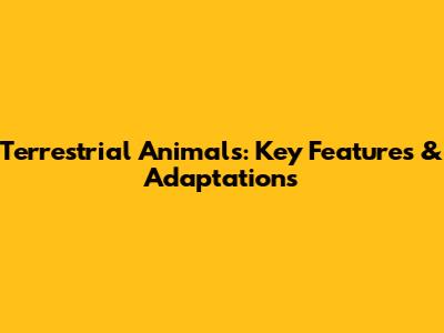 Terrestrial Animals: Key Features & Adaptations