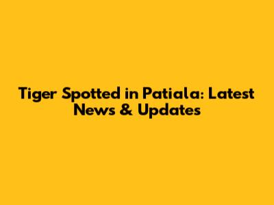 Tiger Spotted in Patiala: Latest News & Updates