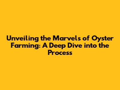 Unveiling the Marvels of Oyster Farming: A Deep Dive into the Process