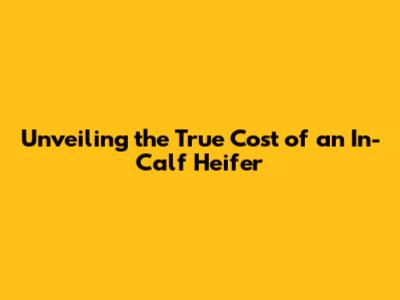 Unveiling the True Cost of an In-Calf Heifer