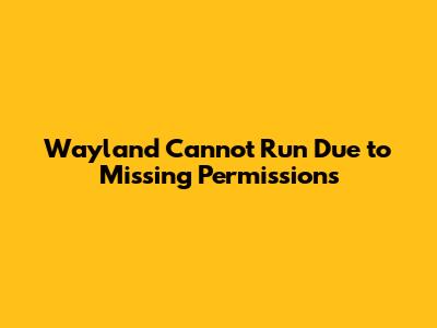 Wayland Cannot Run Due to Missing Permissions