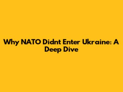 Why NATO Didn't Enter Ukraine: A Deep Dive
