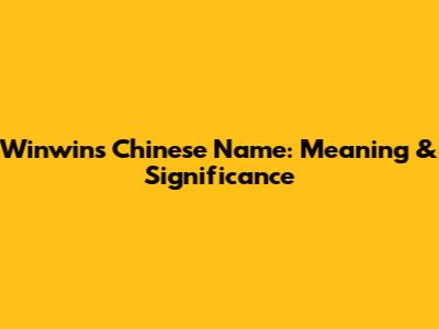 Winwin's Chinese Name: Meaning & Significance