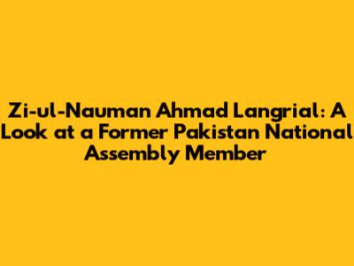 Zi-ul-Nauman Ahmad Langrial: A Look at a Former Pakistan National Assembly Member